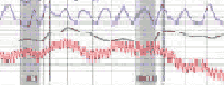 weekend polygraph in Glendale